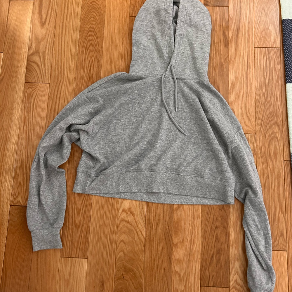Aritzia cropped hoodie